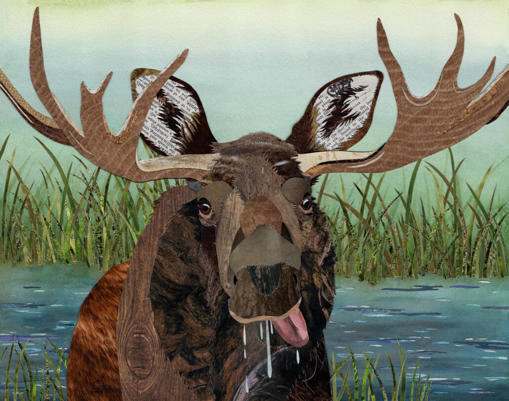 Moose, (mixed media collage)